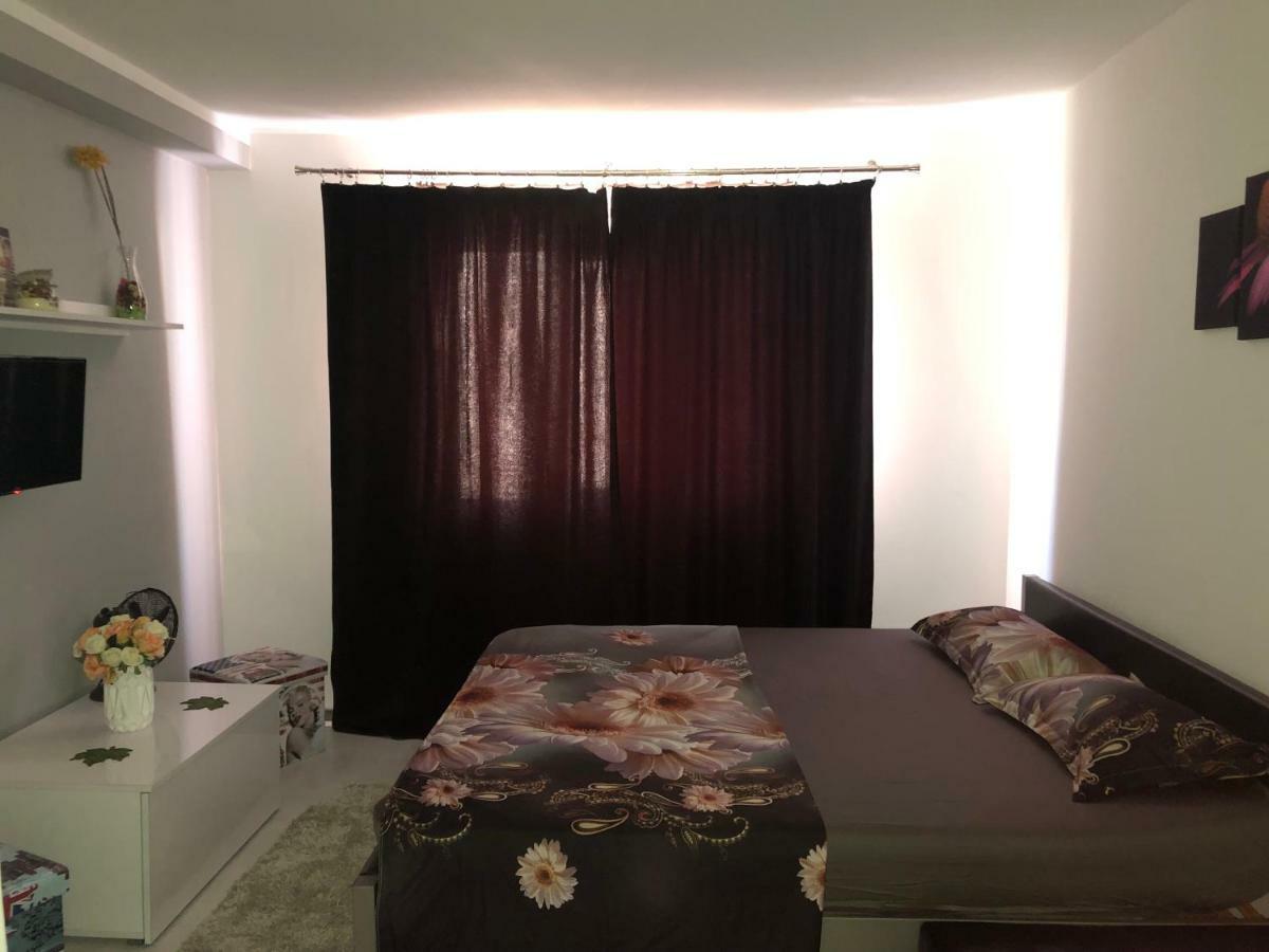 Garsoniera Aleea Trandafirilor Apartment Baile Herculane Exterior photo